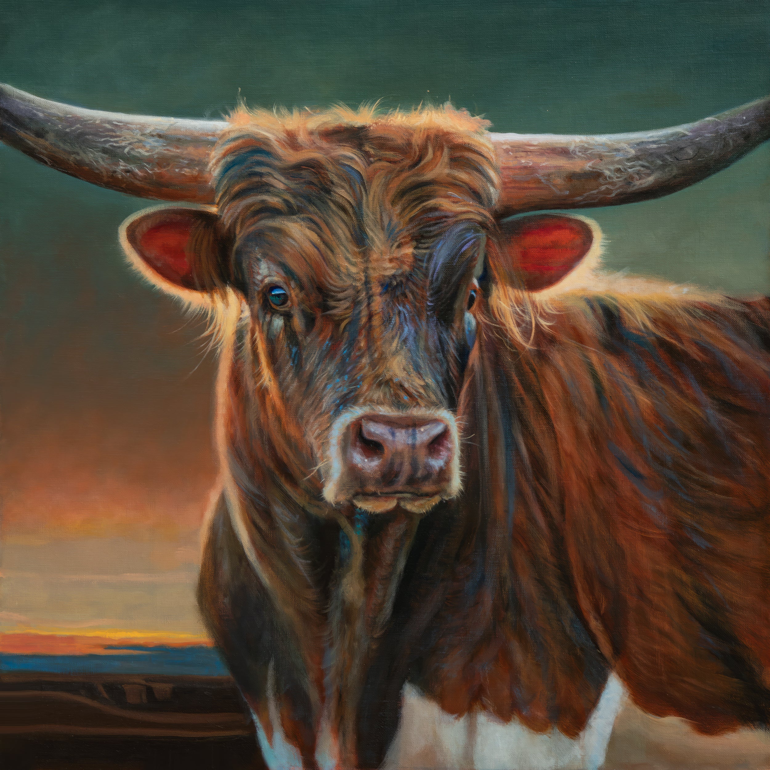 Brindle Longhorn