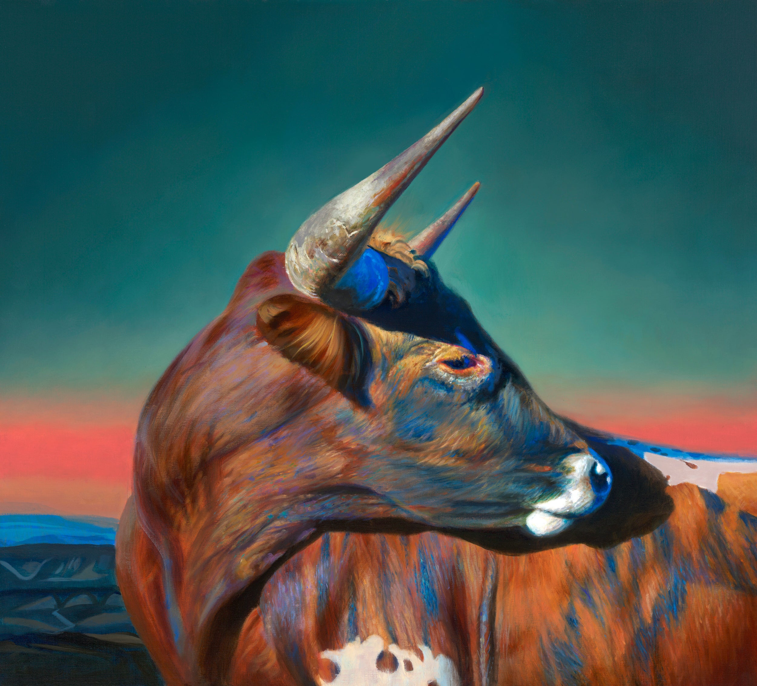 Hill Country Bull
